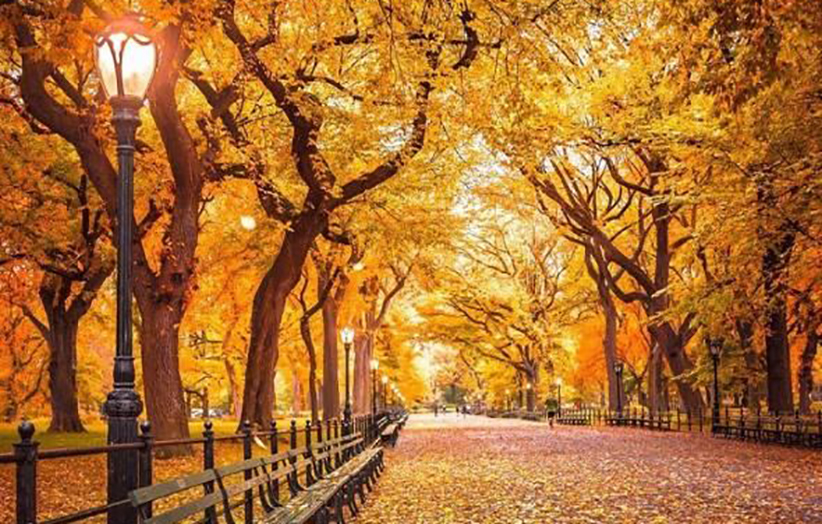 مزاج سوداوی