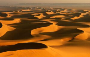 مزاج صفراوی