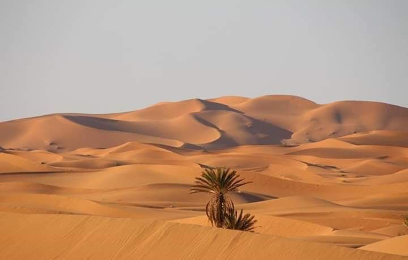 مزاج صفراوی